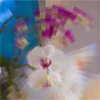 apply effects 1