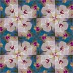 apply symmetries 1