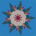 apply symmetries 3
