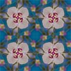 apply symmetries 4